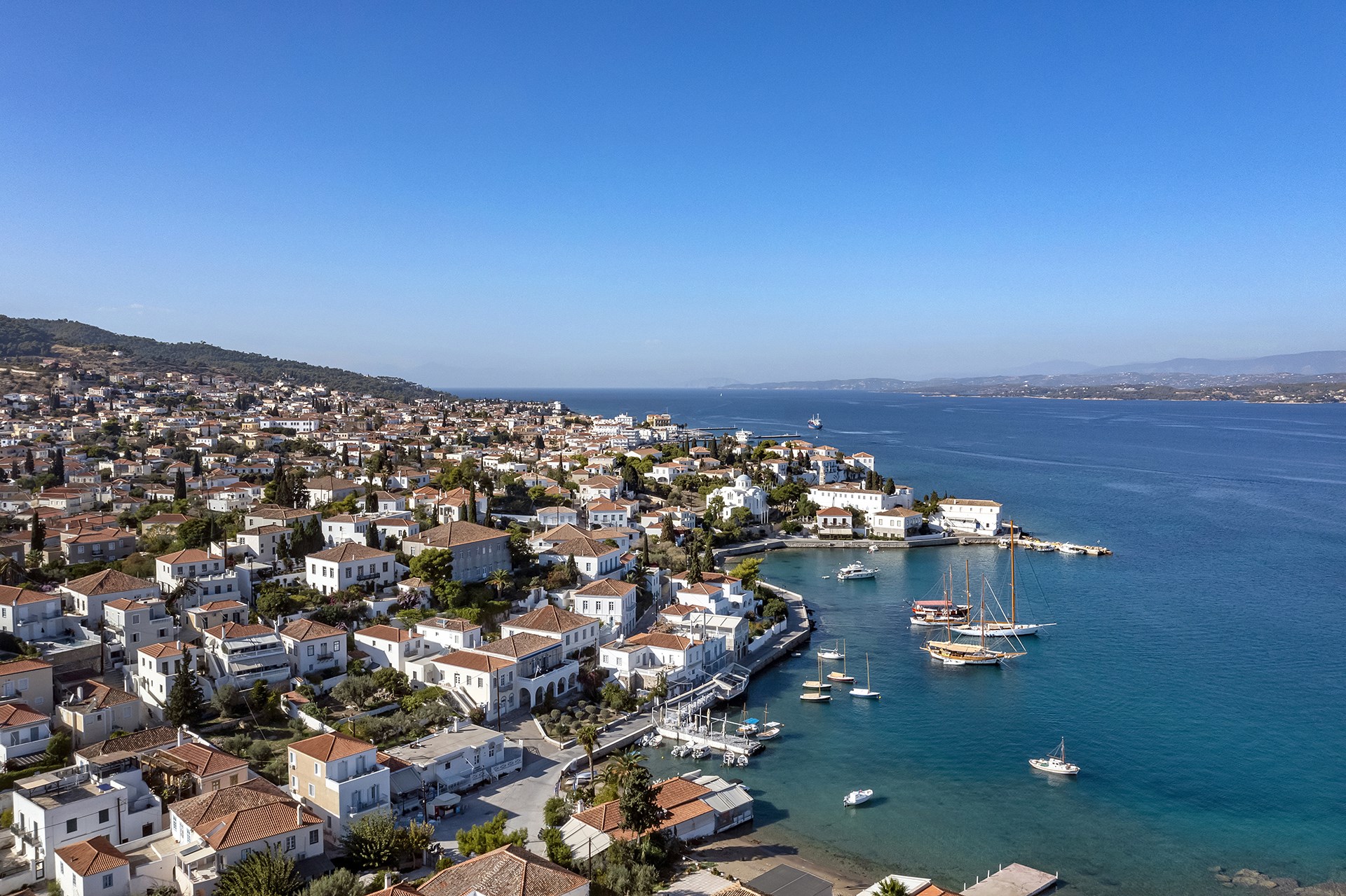 Murder, Mystery, Intrigue Everything You Wanted to Know About the Film